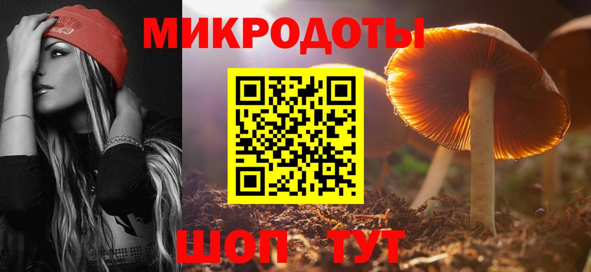 Галлюциногенные грибы прущие грибы Луховицы