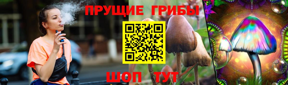 купить наркотики сайты  Вход с VPN  Псилоцибиновые грибы GOLDEN TEACHER  Луховицы  Галлюциногенные грибы Cubensis 